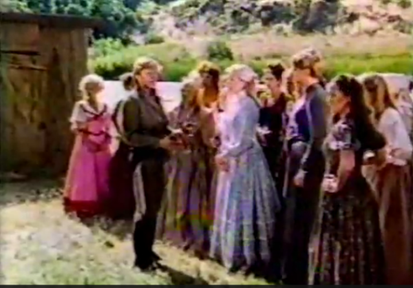 The Wild Women of Chastity Gulch (1982)