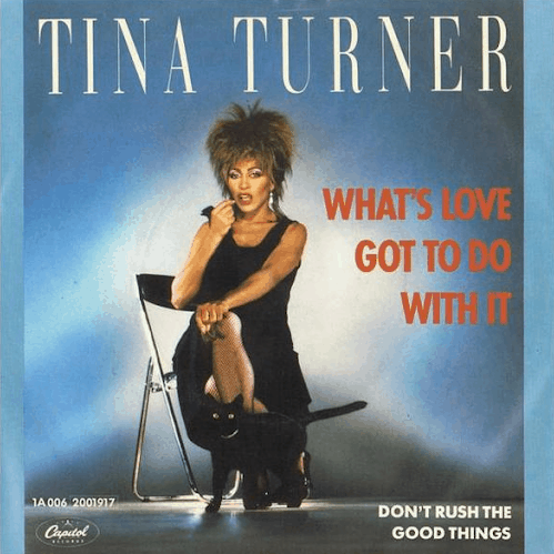 Tina Turner: What's Love Got to Do With It?