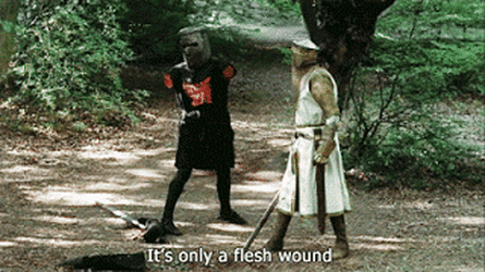 Monty Python - it's only a flesh wound